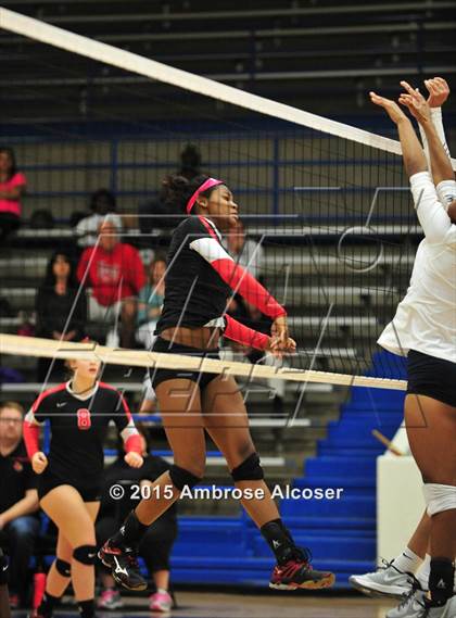 Thumbnail 1 in Bellaire @ Lamar photogallery.