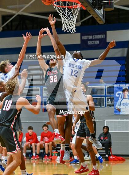 Thumbnail 1 in Jo Byrns @ Hume-Fogg photogallery.