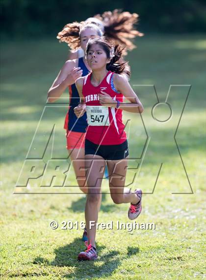 Thumbnail 1 in Monroe Parker Invitational  photogallery.