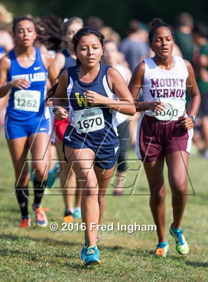 Thumbnail 2 in Monroe Parker Invitational  photogallery.