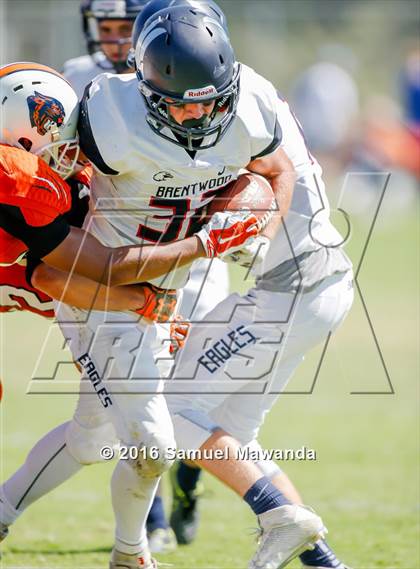 Thumbnail 1 in Brentwood School vs Polytechnic photogallery.