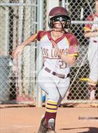 Photo from the gallery "Northgate @ Las Lomas"