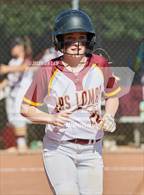 Photo from the gallery "Northgate @ Las Lomas"