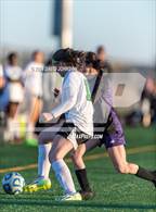 Photo from the gallery "Niwot @ Mountain View"