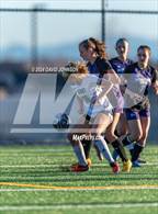 Photo from the gallery "Niwot @ Mountain View"