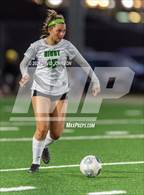 Photo from the gallery "Niwot @ Mountain View"