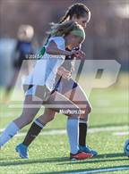 Photo from the gallery "Niwot @ Mountain View"
