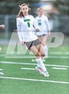 Photo from the gallery "Niwot @ Mountain View"