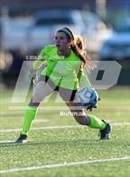 Photo from the gallery "Niwot @ Mountain View"