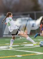 Photo from the gallery "Niwot @ Mountain View"