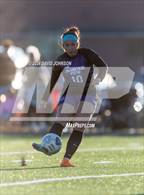 Photo from the gallery "Niwot @ Mountain View"