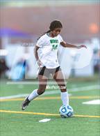 Photo from the gallery "Niwot @ Mountain View"
