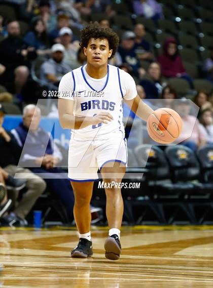 Thumbnail 1 in Lloyd Memorial vs Highlands (9th Region Quarterfinals) photogallery.