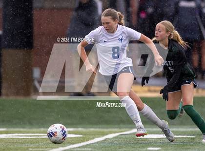 Thumbnail 3 in Poudre @ Mountain Vista (CHSAA 5A - 1st Round) photogallery.