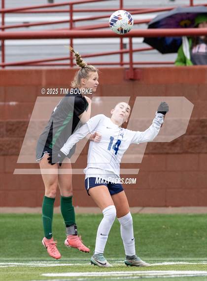 Thumbnail 3 in Poudre @ Mountain Vista (CHSAA 5A - 1st Round) photogallery.