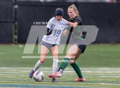 Thumbnail 3 in Poudre @ Mountain Vista (CHSAA 5A - 1st Round) photogallery.