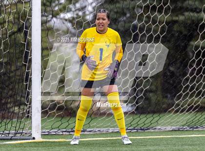 Thumbnail 1 in Poudre @ Mountain Vista (CHSAA 5A - 1st Round) photogallery.