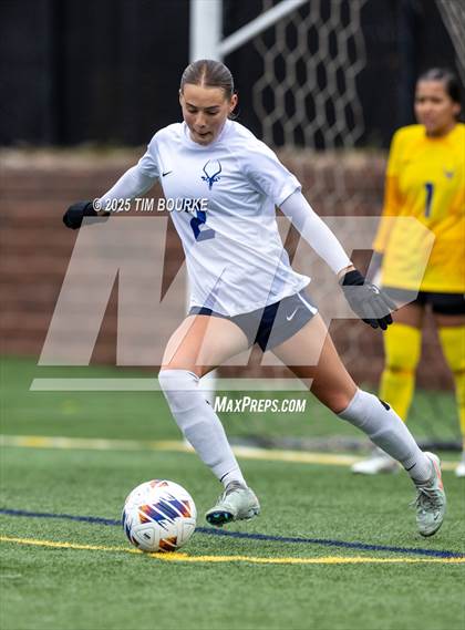Thumbnail 2 in Poudre @ Mountain Vista (CHSAA 5A - 1st Round) photogallery.