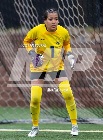Thumbnail 2 in Poudre @ Mountain Vista (CHSAA 5A - 1st Round) photogallery.
