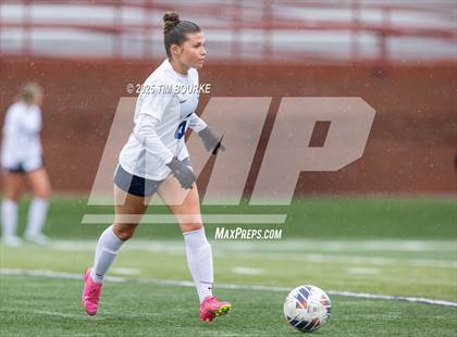 Thumbnail 3 in Poudre @ Mountain Vista (CHSAA 5A - 1st Round) photogallery.