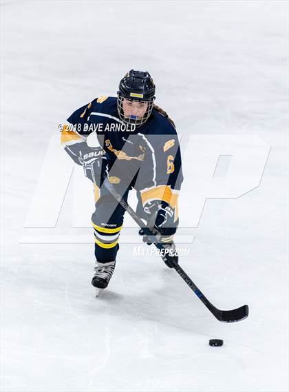Thumbnail 2 in Andover vs. Austin Prep (MIAA Divison 1 Quarterfinal) photogallery.