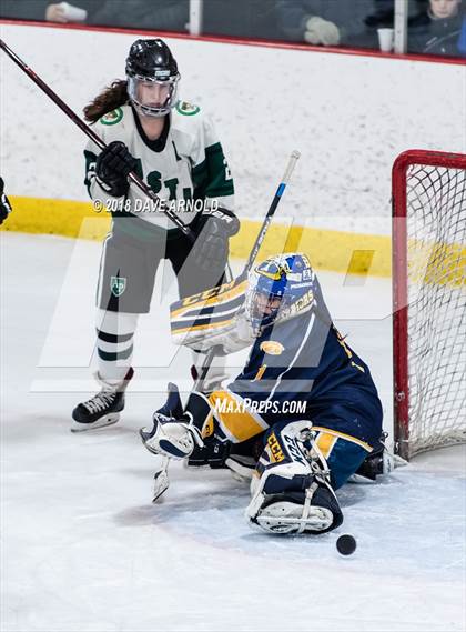 Thumbnail 3 in Andover vs. Austin Prep (MIAA Divison 1 Quarterfinal) photogallery.