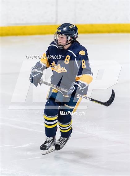 Thumbnail 3 in Andover vs. Austin Prep (MIAA Divison 1 Quarterfinal) photogallery.