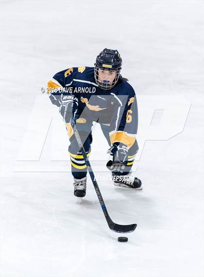 Thumbnail 1 in Andover vs. Austin Prep (MIAA Divison 1 Quarterfinal) photogallery.