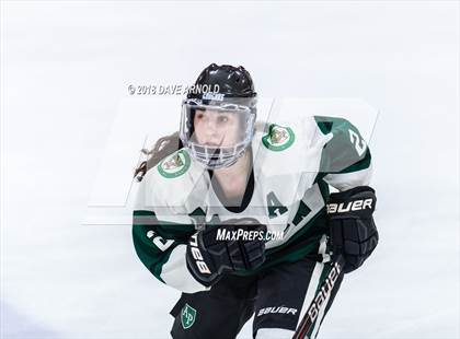 Thumbnail 1 in Andover vs. Austin Prep (MIAA Divison 1 Quarterfinal) photogallery.