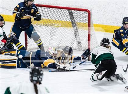 Thumbnail 1 in Andover vs. Austin Prep (MIAA Divison 1 Quarterfinal) photogallery.
