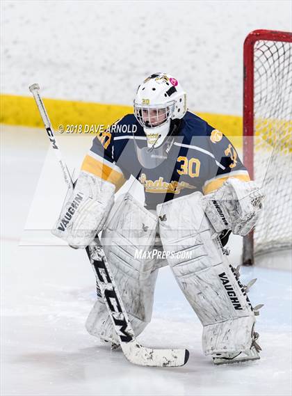 Thumbnail 3 in Andover vs. Austin Prep (MIAA Divison 1 Quarterfinal) photogallery.