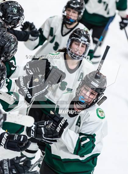 Thumbnail 1 in Andover vs. Austin Prep (MIAA Divison 1 Quarterfinal) photogallery.