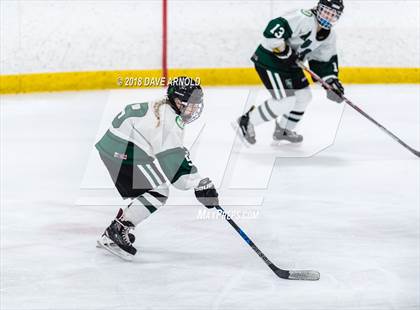 Thumbnail 1 in Andover vs. Austin Prep (MIAA Divison 1 Quarterfinal) photogallery.