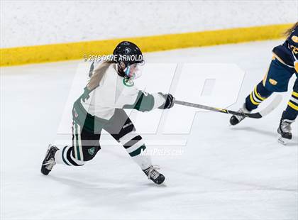 Thumbnail 3 in Andover vs. Austin Prep (MIAA Divison 1 Quarterfinal) photogallery.