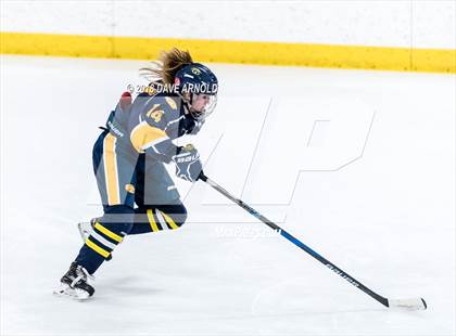 Thumbnail 2 in Andover vs. Austin Prep (MIAA Divison 1 Quarterfinal) photogallery.