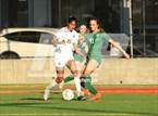 Photo from the gallery "Archbishop Mitty @ Sacred Heart Cathedral Preparatory"