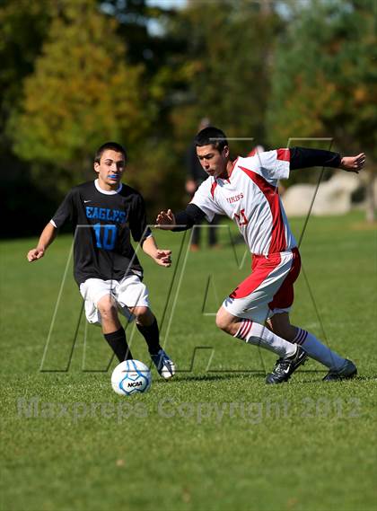 Thumbnail 3 in Islesboro @ Vinalhaven photogallery.