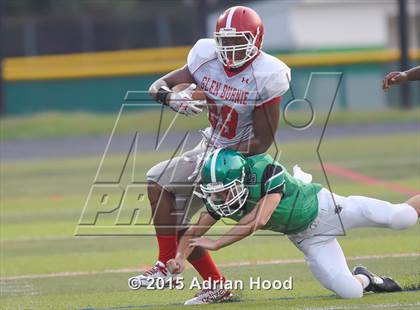 Thumbnail 3 in Glen Burnie @ Arundel  photogallery.