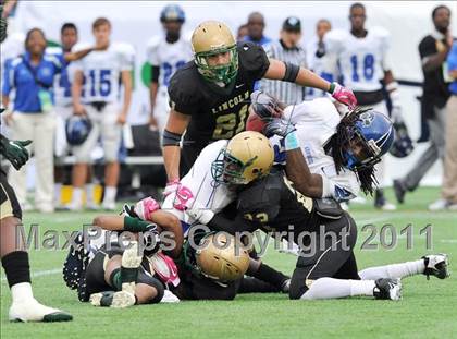 Thumbnail 3 in Lincoln vs. Armwood (FHSAA 4A Final) photogallery.
