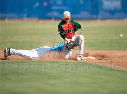 Thumbnail 2 in Poly @ Norco photogallery.