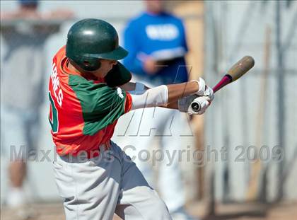 Thumbnail 3 in Poly @ Norco photogallery.
