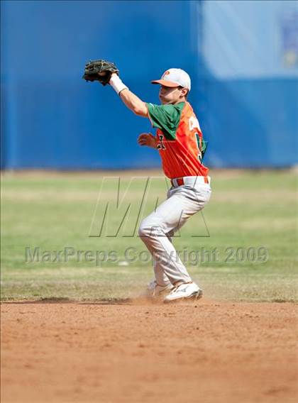 Thumbnail 2 in Poly @ Norco photogallery.