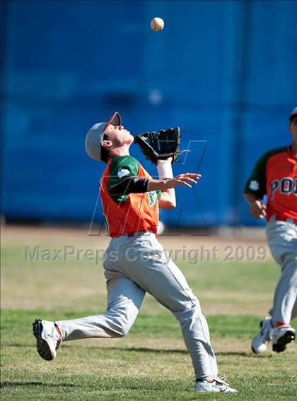 Thumbnail 1 in Poly @ Norco photogallery.