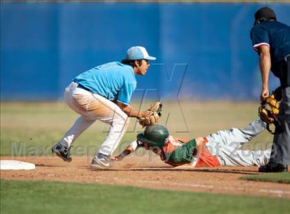 Thumbnail 2 in Poly @ Norco photogallery.