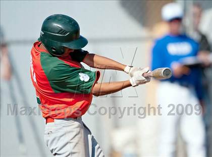 Thumbnail 3 in Poly @ Norco photogallery.