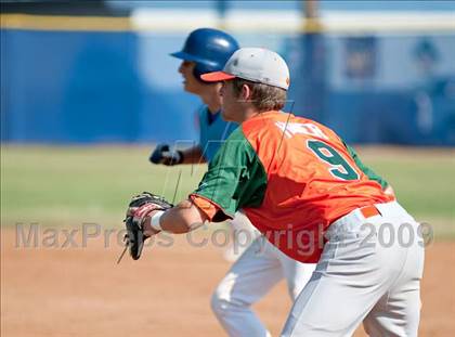 Thumbnail 1 in Poly @ Norco photogallery.