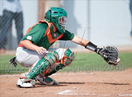 Thumbnail 1 in Poly @ Norco photogallery.