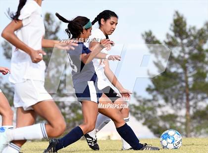 Thumbnail 3 in Legacy vs Centennial photogallery.