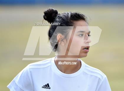 Thumbnail 2 in Legacy vs Centennial photogallery.
