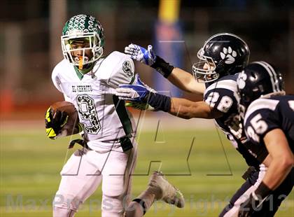 Thumbnail 1 in Marin Catholic vs. El Cerrito (CIF NCS D3 Final) photogallery.